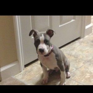 Meet your Posher, Will